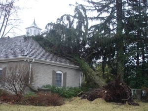 Tree uprooted in a tornado, landed on the house